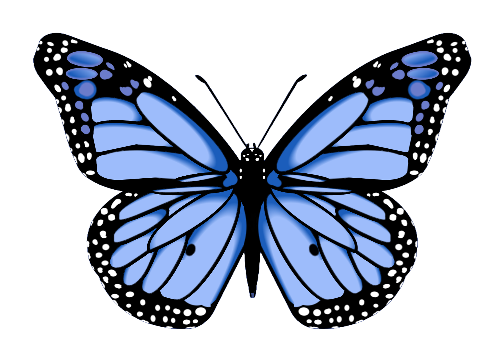 Butterflies in the Storm